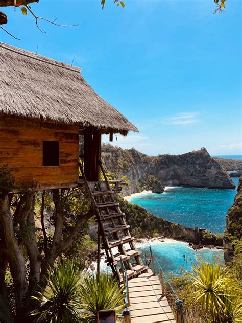 Rumah Pohon Tree House Nusa Penida Bali Indonesia Tree House