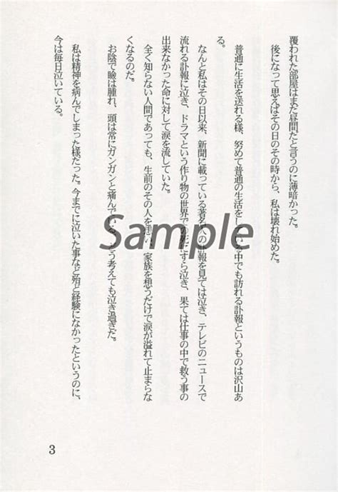 駿河屋 その後のその後の・・・更にその後の物語 （玉藻京介、鵺野鳴介） 進行台本（アニメ系）