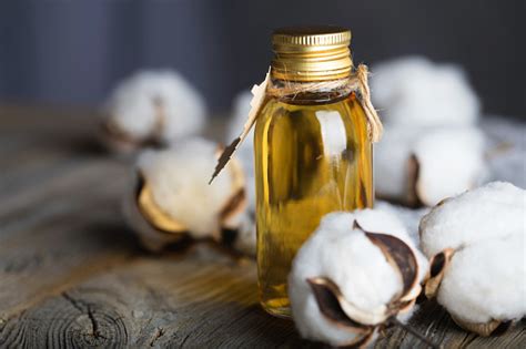 10 Health Benefits Of Cottonseed Oil Diettherapyline