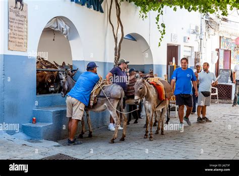 Local Men Wait With Donkeys At The Entrance Of Lindos Town To Transport