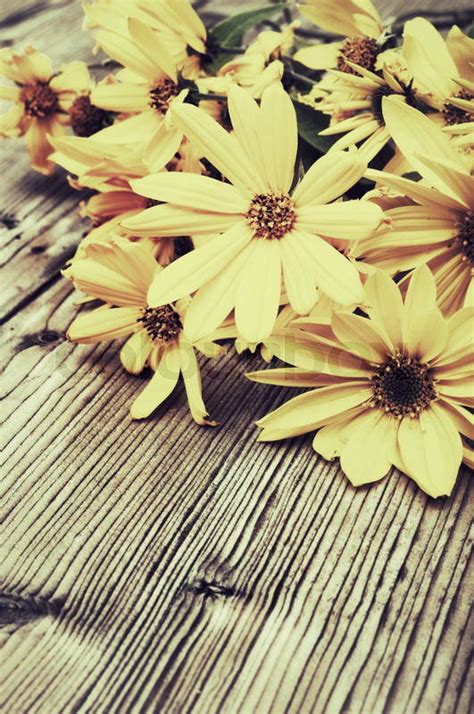 Yellow Flowers - Vintage Look | Stock Photo | Colourbox