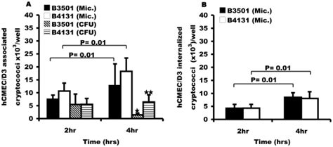 Hcmec D3 Cells Were Exposed To C Neoformans Serotype D Wild Type B3501 Download Scientific