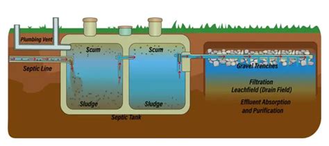 Cesspool Maintenance and Problems - HomeProfy