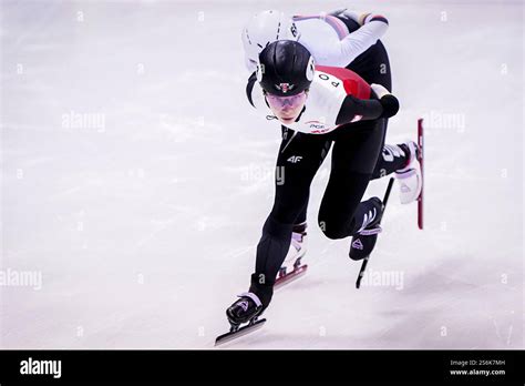 Dresden Germany January Kamila Stormowska Of Poland During The