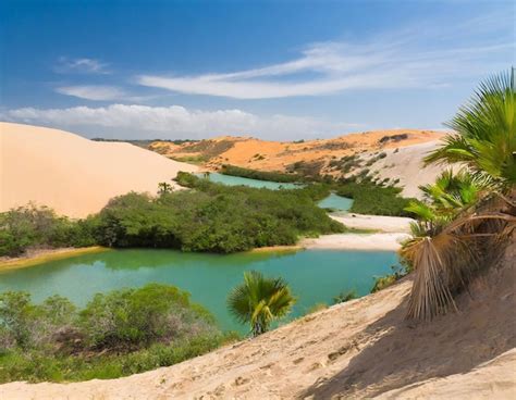 Oásis do deserto um paraíso escondido no meio de areias áridas Foto