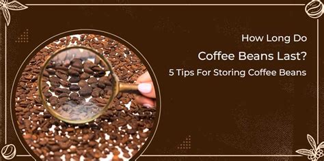 How Long Do Coffee Beans Last Tips For Storing Coffee Beans