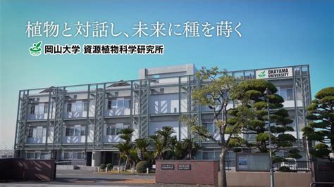 【岡山大学】資源植物科学研究所の馬建鋒教授のグループが発表した論文が「pcp論文賞」に決定！ 国立大学法人岡山大学のプレスリリース