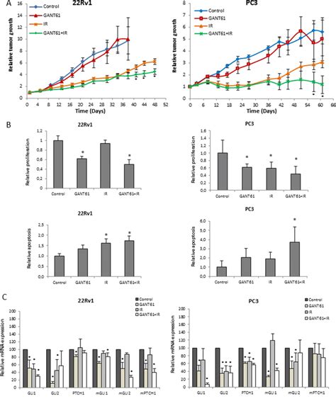 Effect Of GANT61 And IR In Vivo A Relative Tumor Growth Of 22Rv1