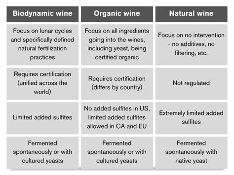 Biodynamic Wine Principles And Taste — Iberian Aesthetics