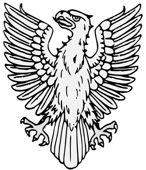 Eagle Line Drawing | Free download on ClipArtMag