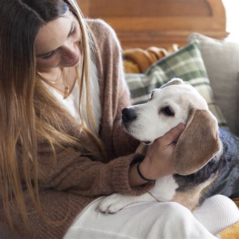 Ansiedad Por Separaci N En Perros Qu Es Y C Mo Tratarla Para Que Tu