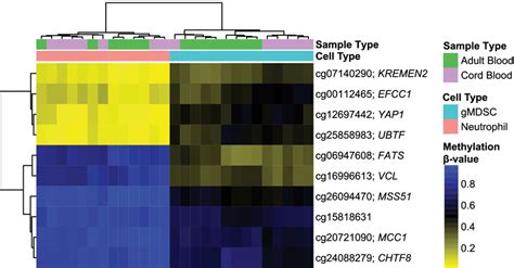 Core Of Differentially Methylated Cpg Loci Between Gmdscs And