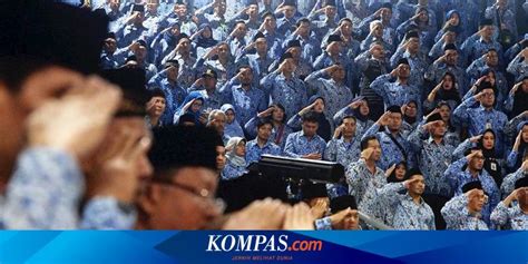 Bawaslu Buka 18 557 Formasi CPNS Dan PPPK 2024 Ini Prioritas Kebutuhannya