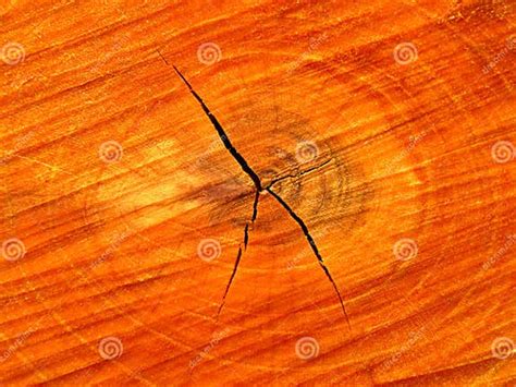 Pattern Of Raw Cherry Wood After Cutting Texture Background Macro