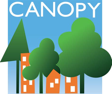 Canopylogo Bluegradient Native Large Canopy Canopy