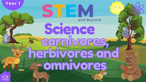 Carnivores Herbivores And Omnivores Ks1 Year 1 Science Home