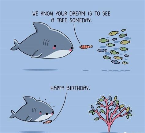 Happy Birthday Shark Meme