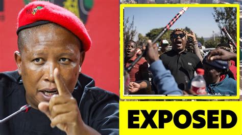 Julius Malema Reacts Because Of Ngizwe Mchunu See What Mchunu Is