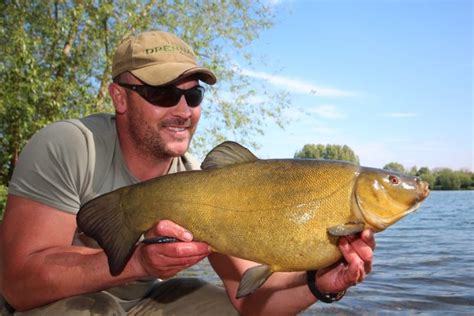 British record holder switches lakes pays off for huge haul of tench