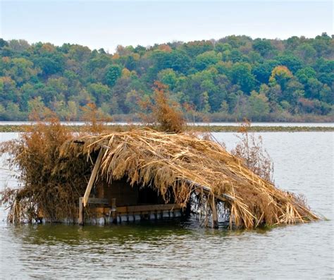 Duck Hunting Blinds