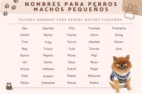 Nombres De Perros Machos Peque Os Grandes Y Medianos