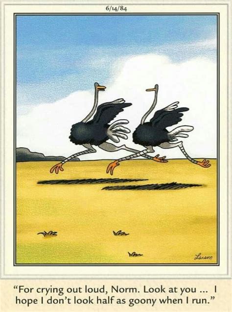 Pin By Kathy Kinakin On Far Side Far Side Cartoons The Far Side Gary Larson Cartoons