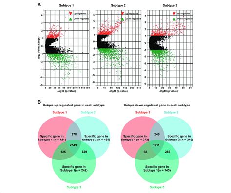 Identification Of Unique Deg Profile In Hypoxia Related Bc Subtypes