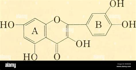 Biosynthesis pathway hi-res stock photography and images - Alamy