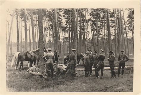 PHOTO SOLDAT ALLEMAND WW2 Et Leurs Chevaux Sur Le Terrain Avec