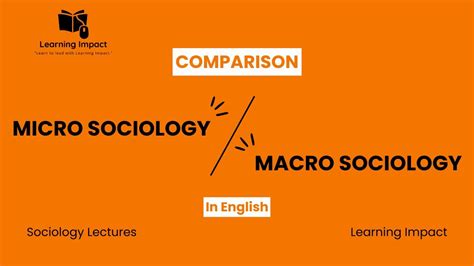 Microsociology Vs Macrosociology Micro Level Analysis Macro Level