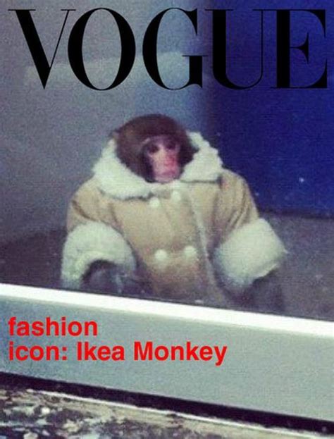 Ikea Monkey Meme Continues - Barnorama