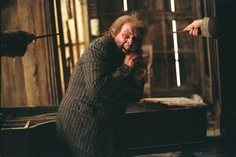 Plot to murder Peter Pettigrew | Harry Potter Wiki | FANDOM powered by ...