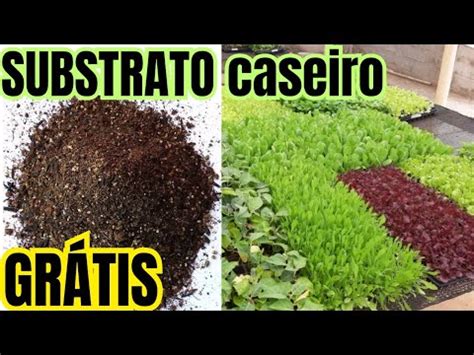 MELHOR SUBSTRATO PARA MUDAS APRENDA A FAZER PASSO A PASSO YouTube