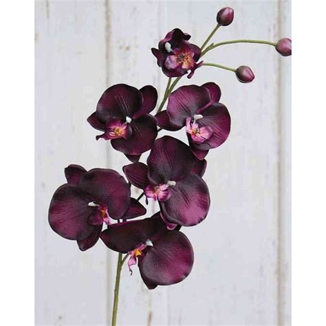 Acheter des Tige d orchidée Phalaenopsis en tissu XANDRA violet foncé