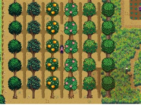 Stardew Valley Trees Oak Planting Maple Pine And Using Tappers