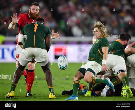 South Africa's Faf de Klerk box kicks during the 2019 Rugby World Cup ...