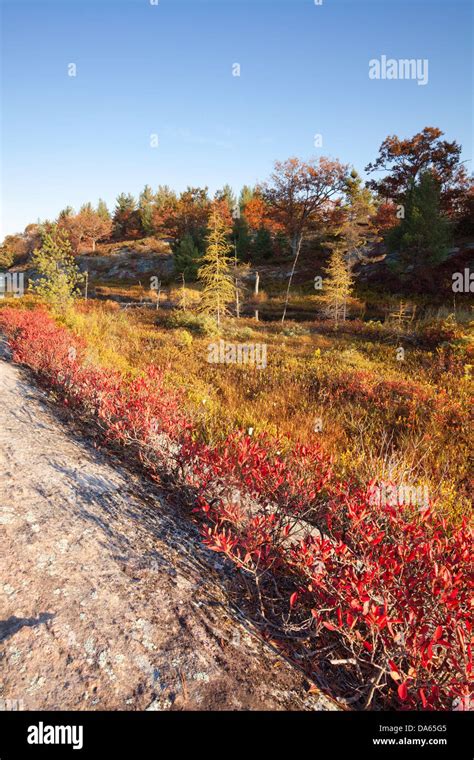 Morning Light Overlooking Beatiful Fall Colours Muskoka Ontario