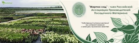 Мартин Сад Интернет Магазин Растений Каталог 2022 — Kupit-v-internet ...