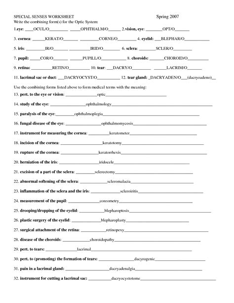 Chapter 8 Special Senses Worksheet Answers Free Worksheets Samples