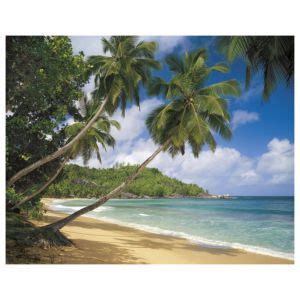 Fotobehang Tropical Sea Kopen Home