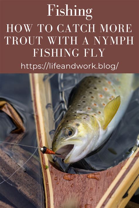 How To Catch More Trout With A Nymph Fishing Fly