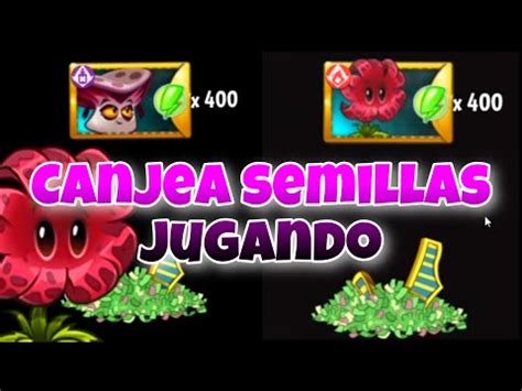 Nivela A VAMPORCINI Y FLOR METEORO JugandoPlants Vs Zombies 2 YouTube