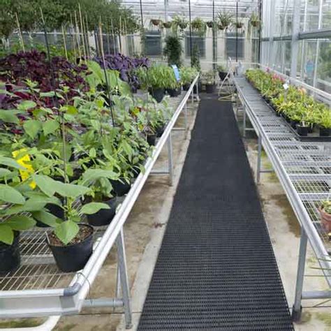 Greenhouse Floor Ideas | Floor Roma