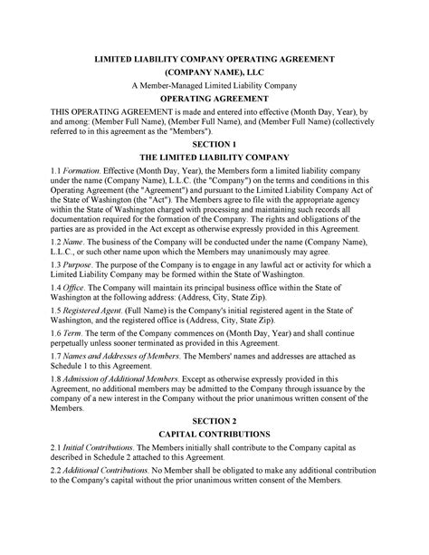 Professional Llc Operating Agreement Templates Templatelab