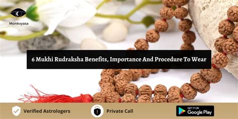 6 Mukhi Rudraksha Benefits Importance And Procedure To Wear Monkvyasa