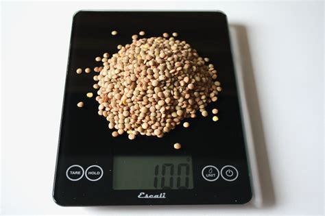 100 Grams: 100 Grams of Lentils, Brown, Dried