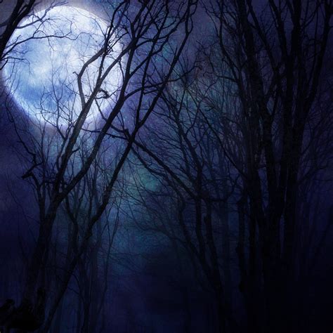 dark night forest agaist full moon - I Love Halloween