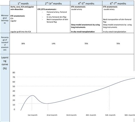 of the progress of the microsurgical course | Download Scientific Diagram