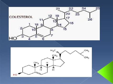 Sintesis De Colesterol[1]