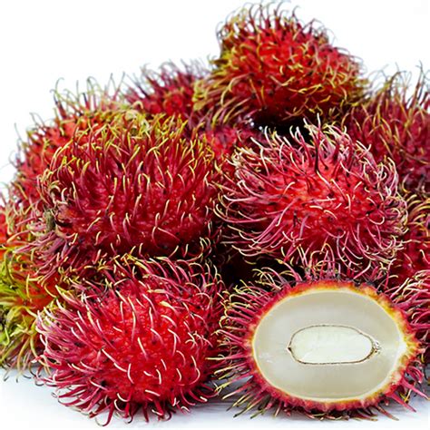 Buy Rambutan Caesar Bud Fruit Plant Greens Of Kerala